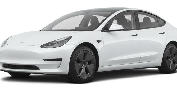 TESLA MODEL 3 2021 5YJ3E1EA2MF089907 image